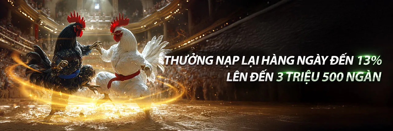 Đá gà trực tiếp trên ứng dụng QC6672