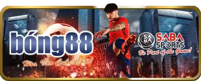 Đá gà trực tuyến qc6672